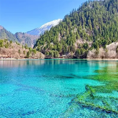 Sichuan Chengdu Jiuzhaigou Huanglong Tour de la zona escènica